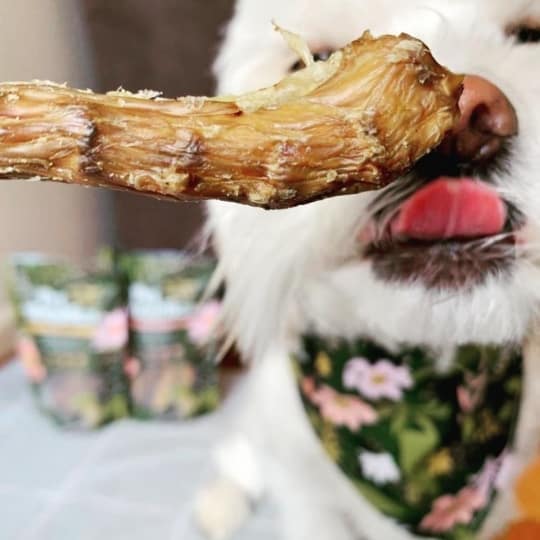 Crunchy Chook Necks Dog Treats