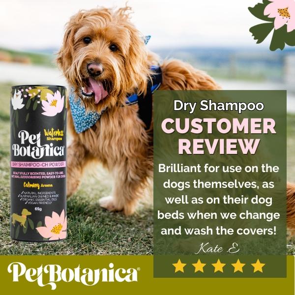 dry shampoo for dogs calming review