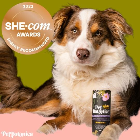 dry shampoo for dogs