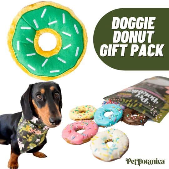 Doggie Donut Bundle Green