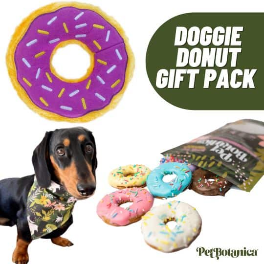 Doggie Donut Bundle Purple