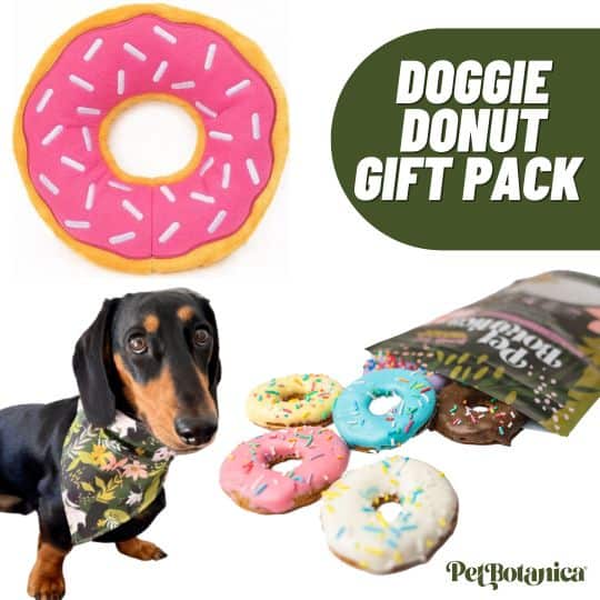 Doggie Donut Bundle Pink