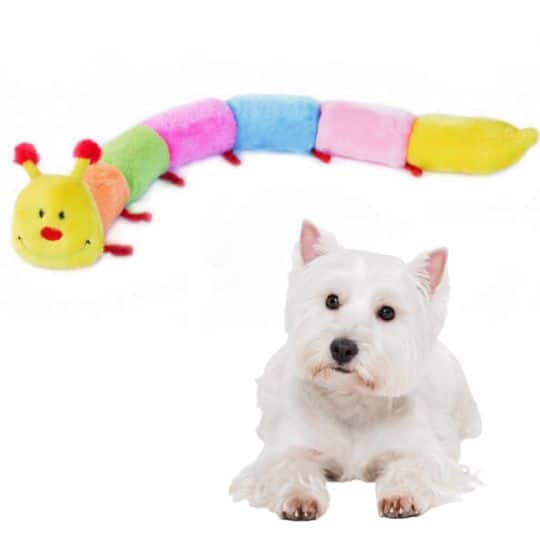 caterpillar dog toy colourful